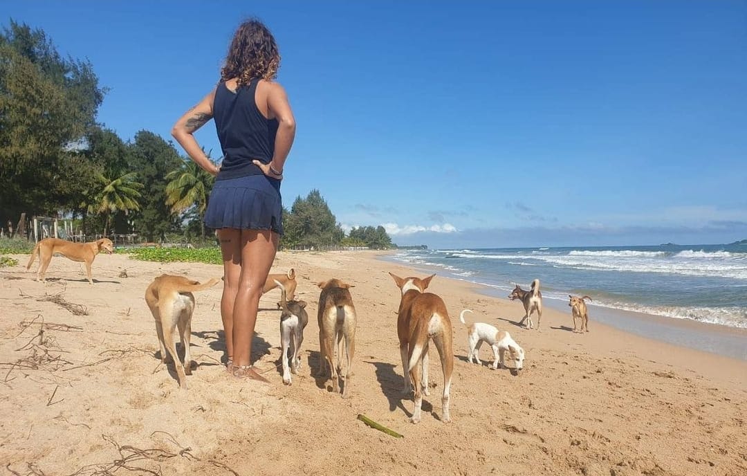Vanessa walking among free-living dogs on a Sri Lankan beach