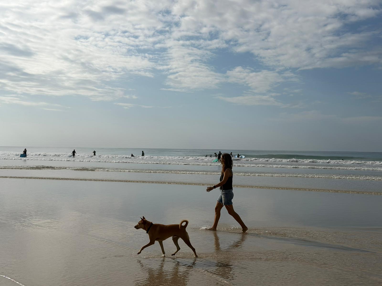 Vanessa walking on a Sri Lankan beach with a dog