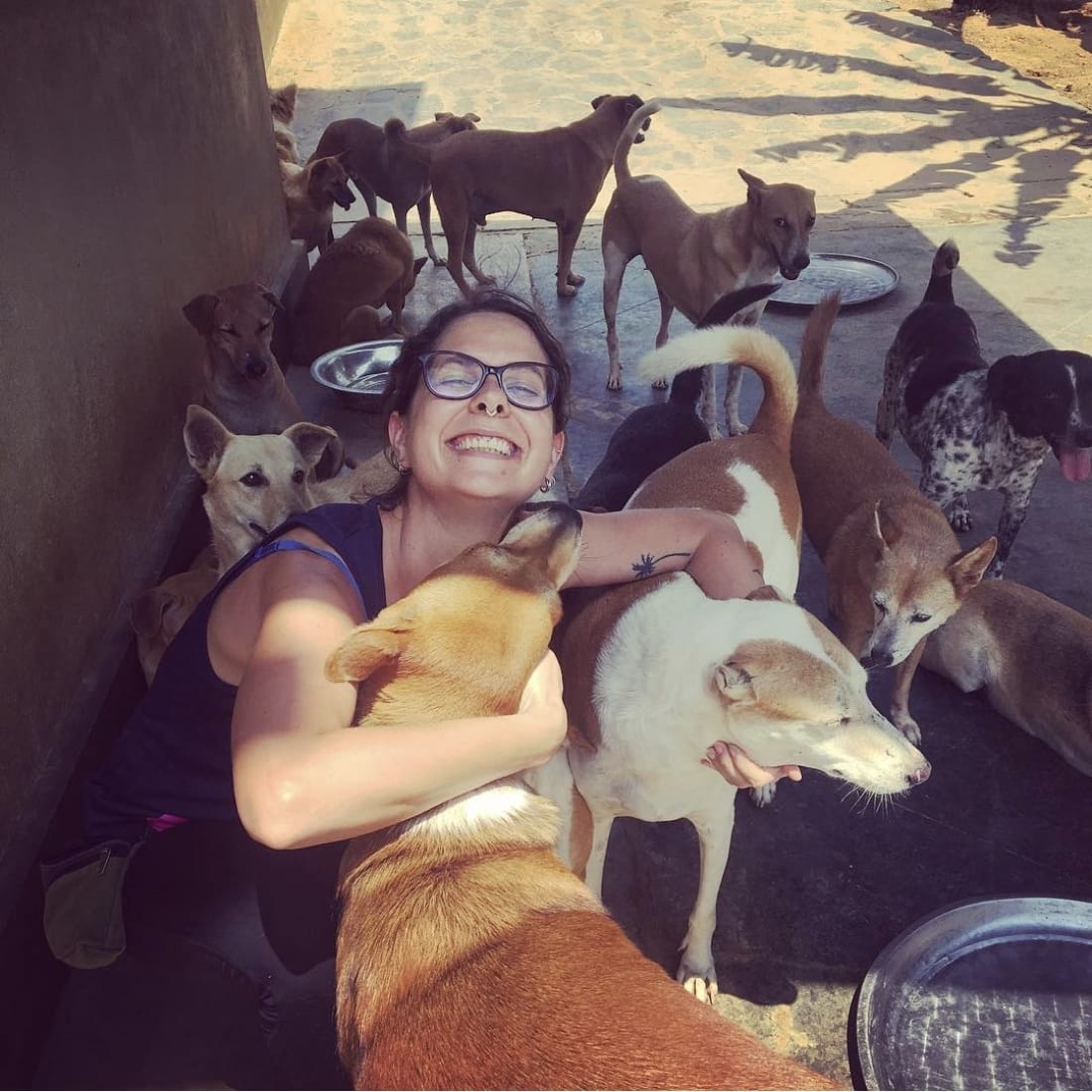 Vanessa surrounded by dogs during rescue work in Sri Lanka