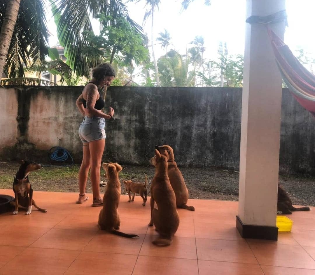Vanessa working with a group of dogs