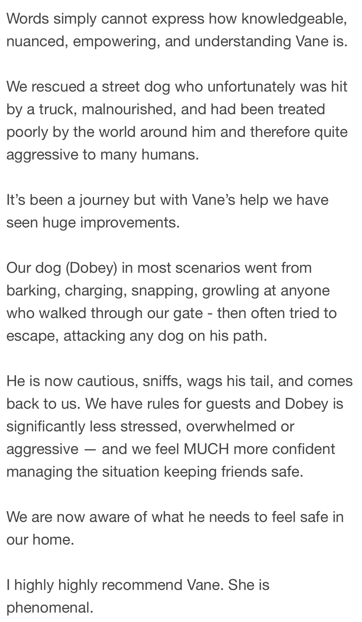 Google review describing progress with Dobey, an aggressive street dog