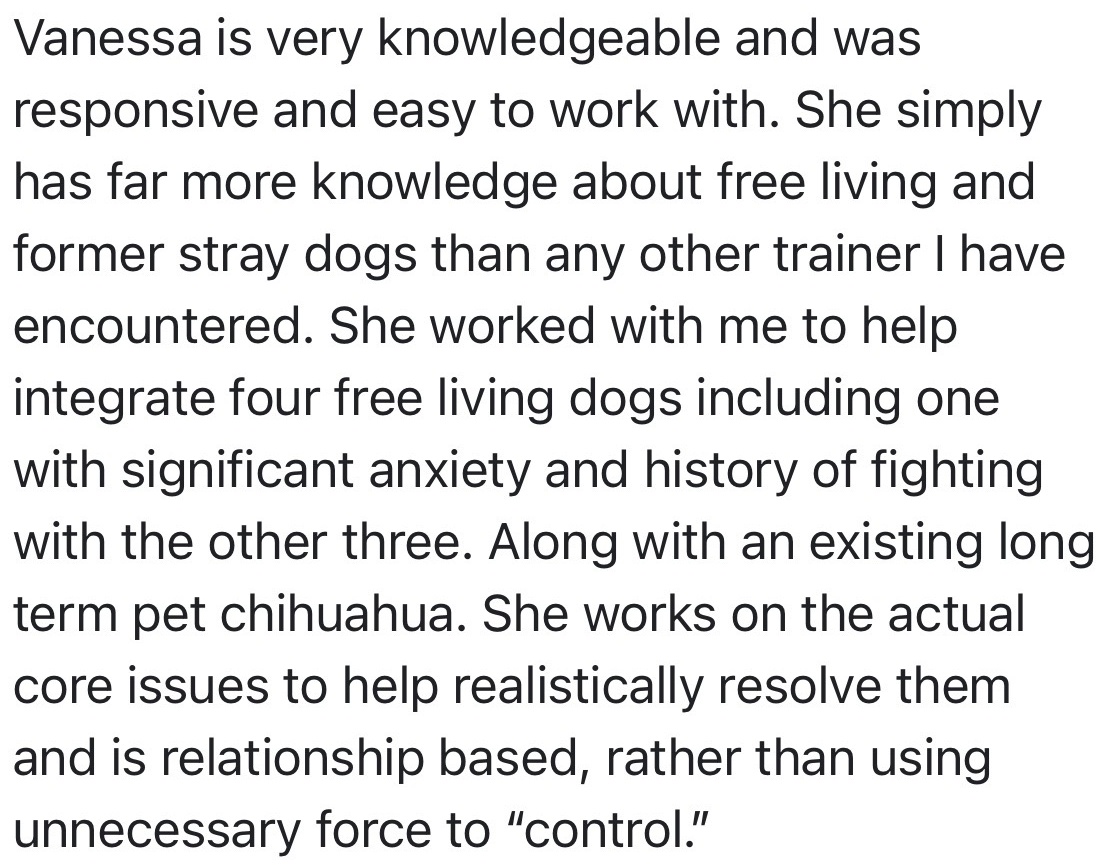 Google review from Mahriah Dye about support with free-living dogs