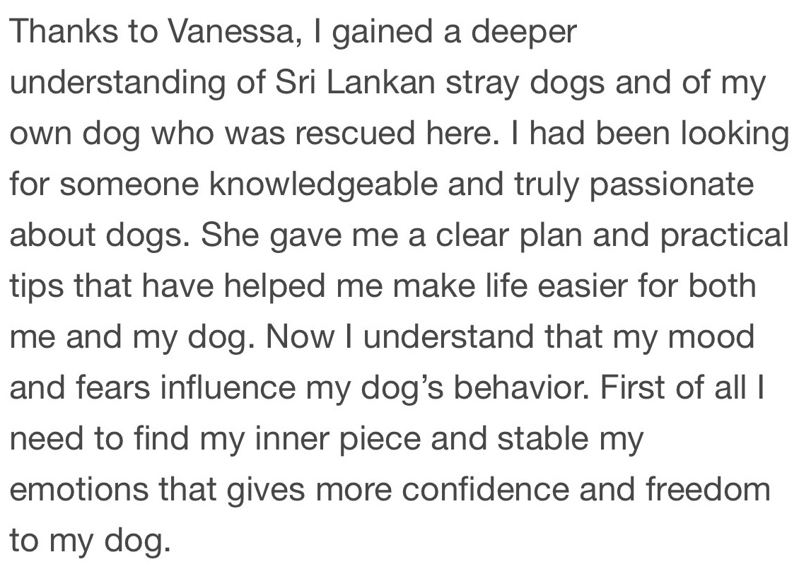 Client message about understanding a Sri Lankan stray dog and finding more inner peace