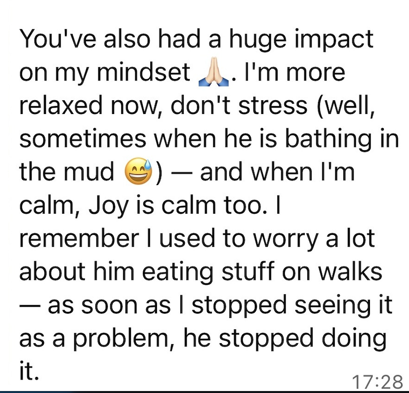 Client message describing a mindset shift with Joy and feeling more relaxed